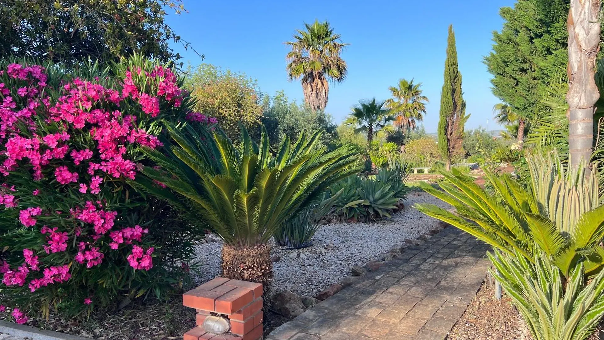 Vila Relaxmountain B&B Sao Bartolomeu de Messines Bed & Breakfast